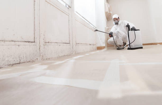24/7 Emergency Crawl Space Mold Remediation experts in The Plains, VA