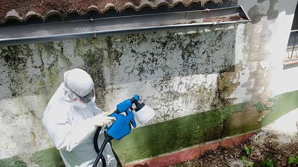 Top rated local Crawl Space Mold Remediation specialists in The Plains, VA